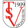 TSV_1909_Sponsheim