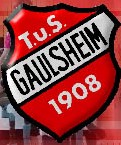 TUS_1908_Bingen-Gaulsheim